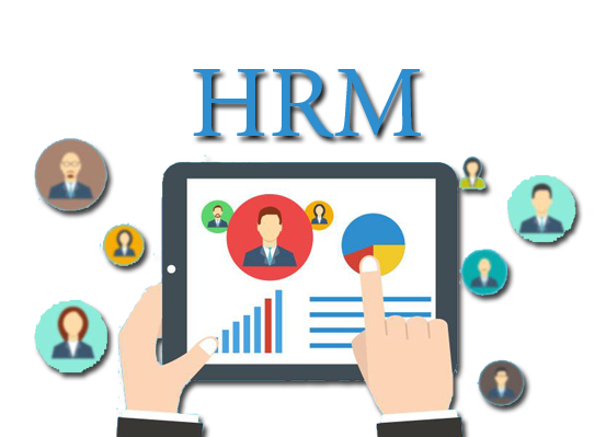 The Human Resource Management Hrm Of Cold